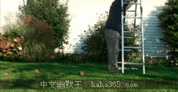 t0140f47f002f0d8bdf.gif