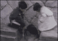 t015542a109555f1ee2.gif