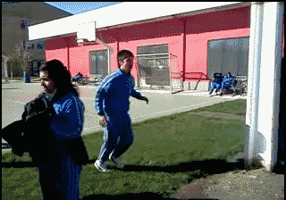 t0252566bf4816443d7.gif