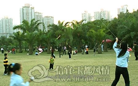 2010121509351642.jpg