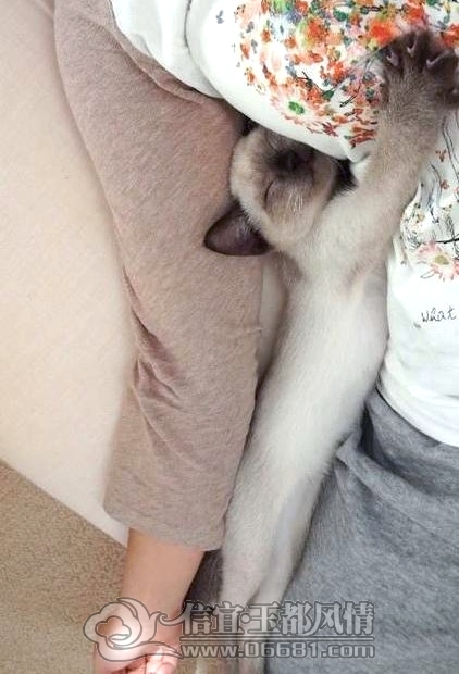 tumblr_m82bji653A1qz4dkmo1_500.jpg
