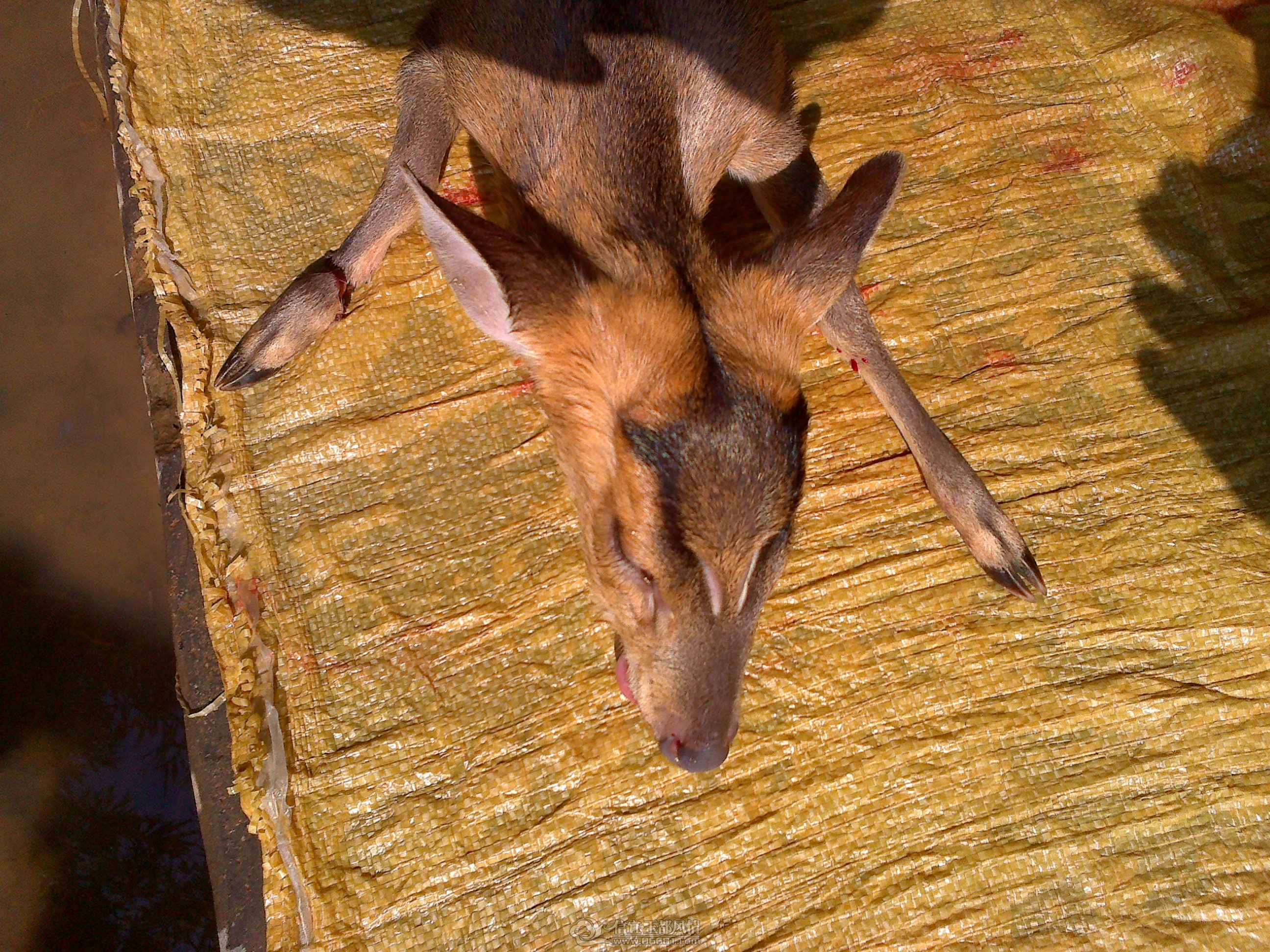 20121210212.jpg