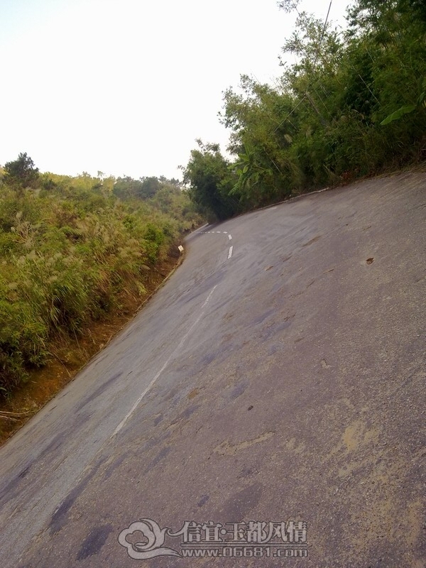 20121208846.jpg