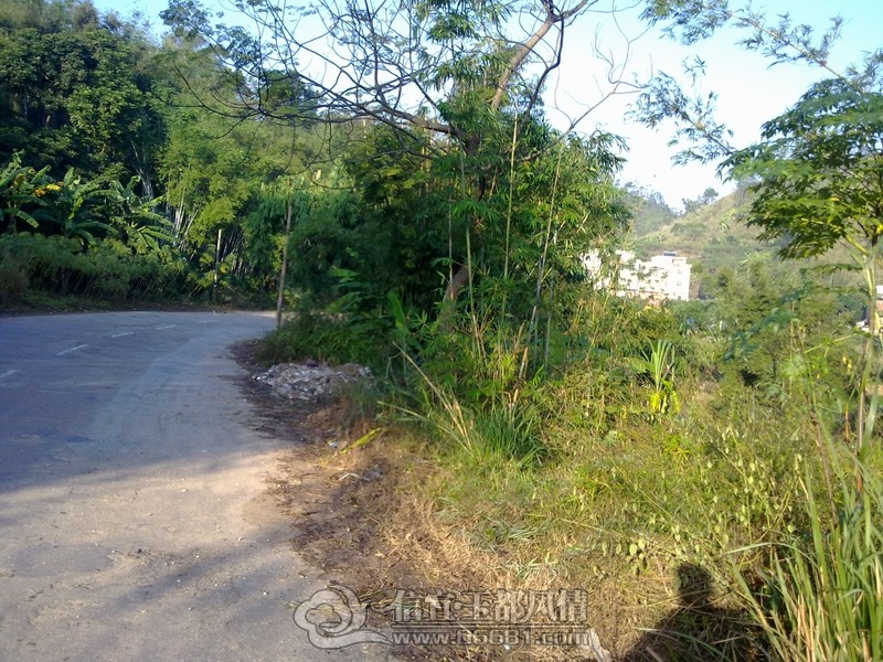 20121208850.jpg