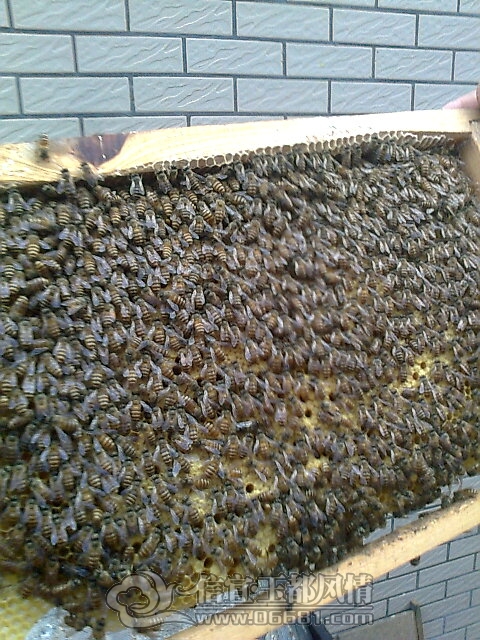��Ƭ0400.jpg