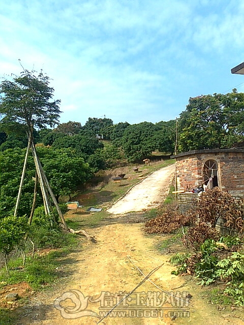 ��Ƭ0383.jpg