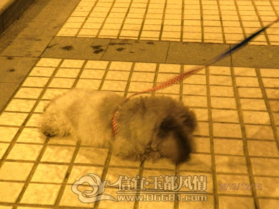 2012121523.jpg