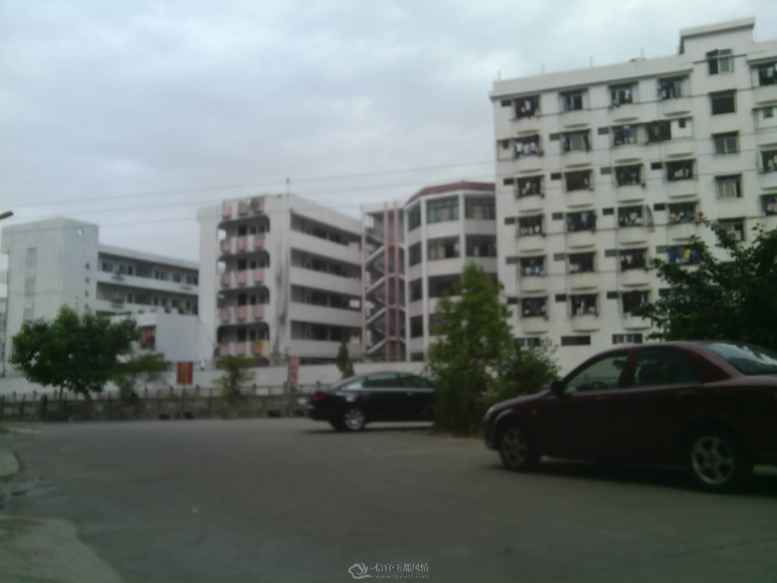 IMG_20121119_142551.jpg