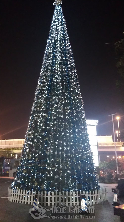 IMAG2570.jpg