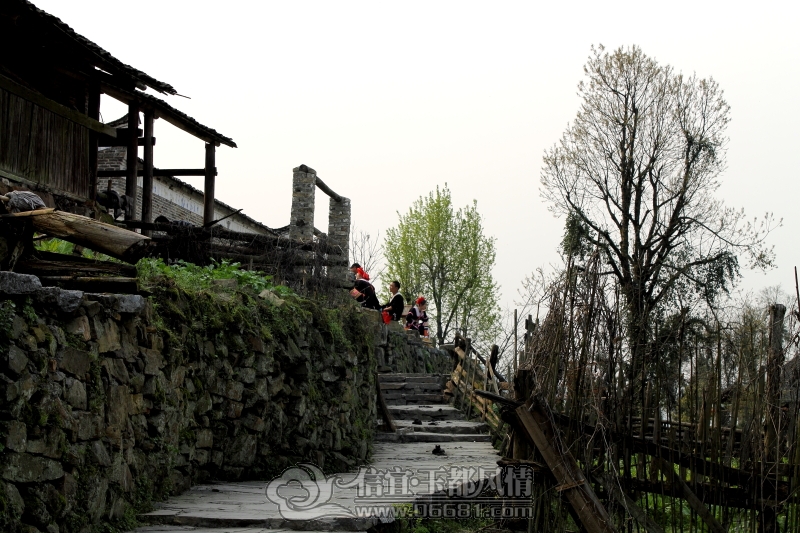 DPP_0040.JPG