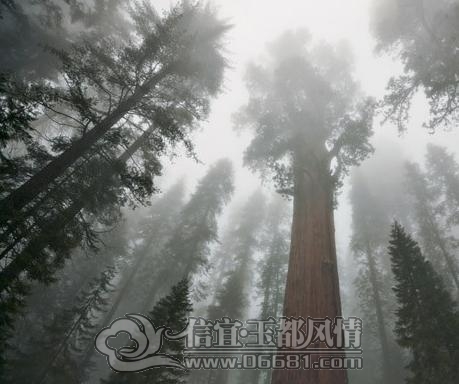 631b43c09b215178044e1592506d66e5.JPG