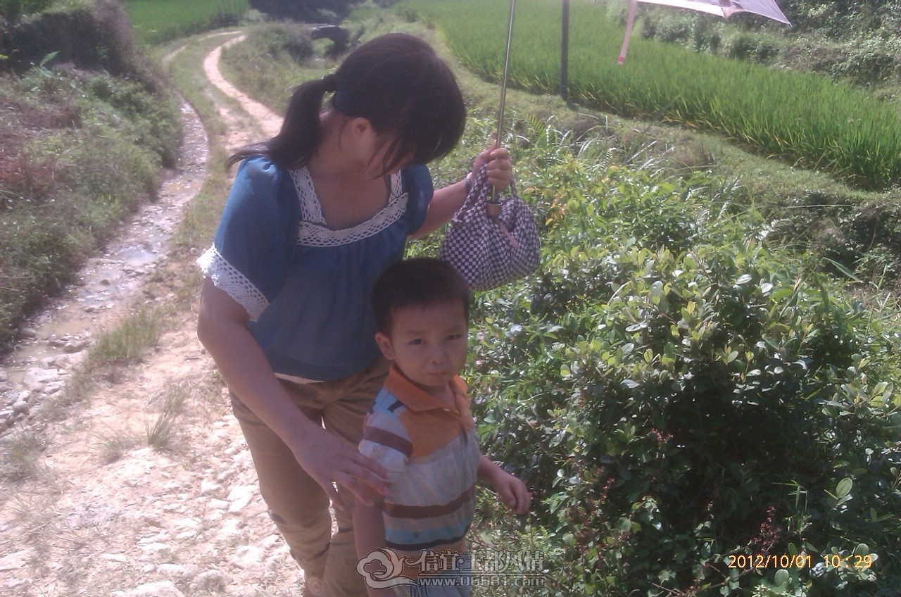 IMAG0241.jpg