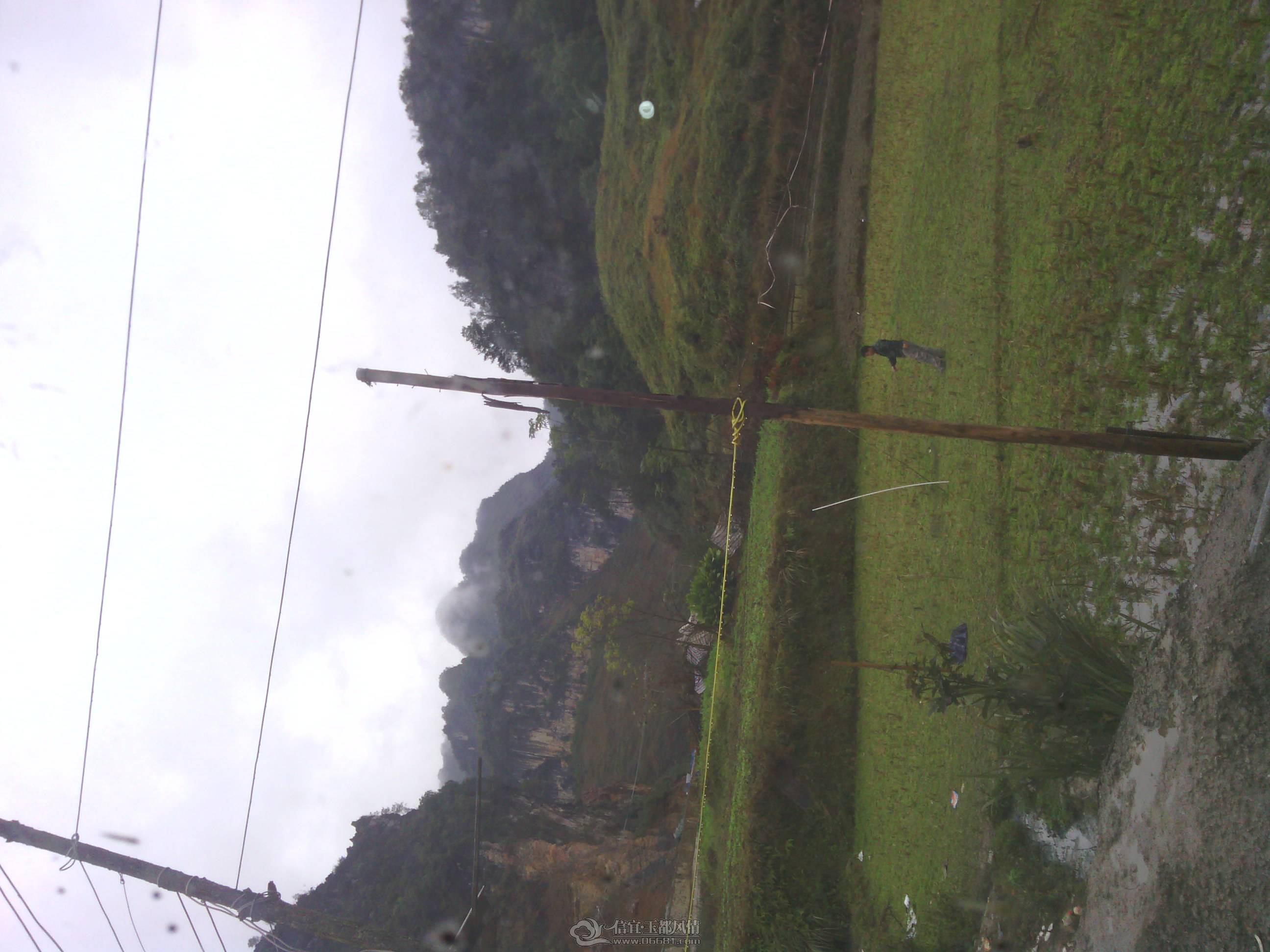 IMG_20130117_105018.jpg