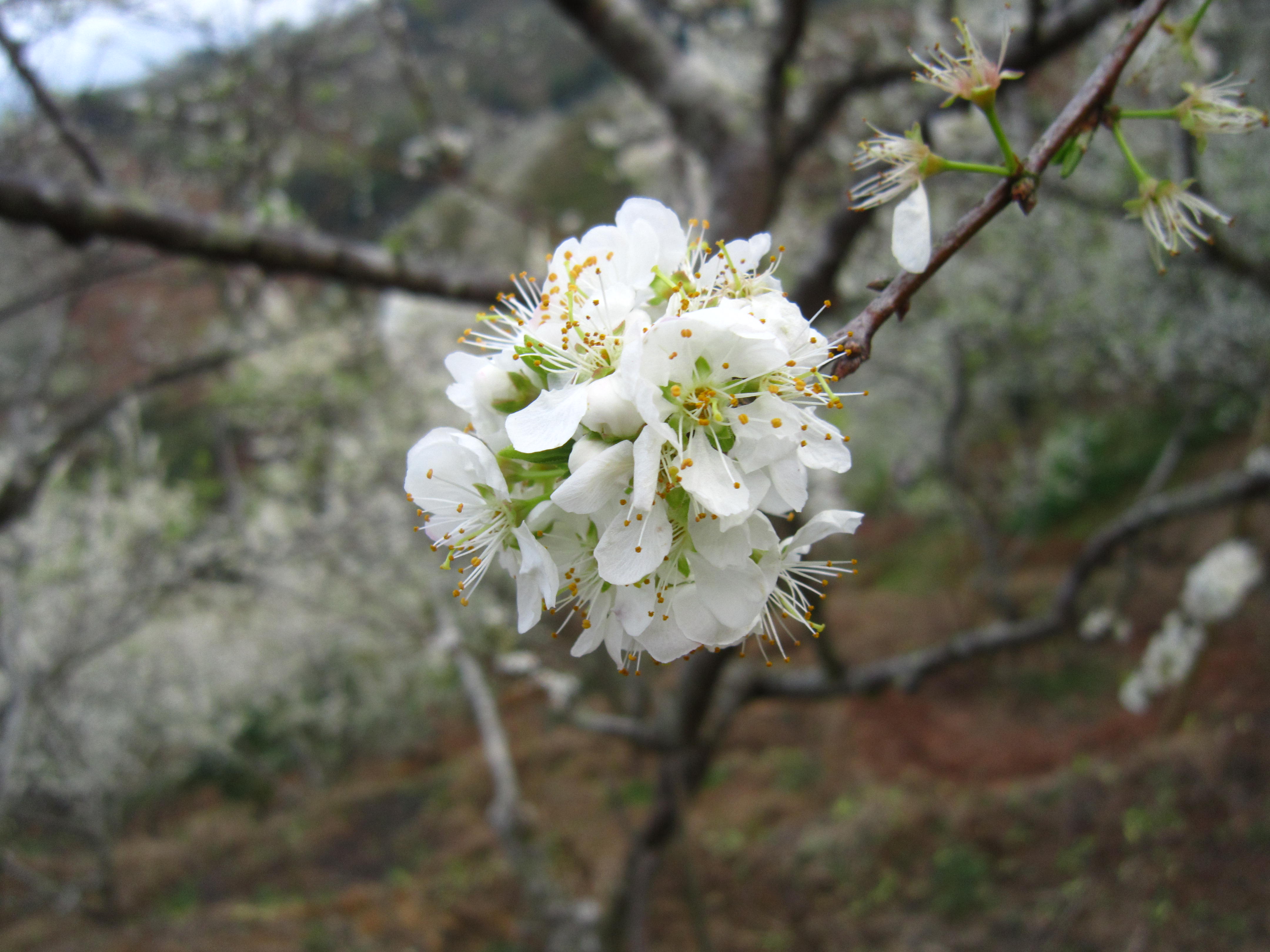 IMG_1500.jpg
