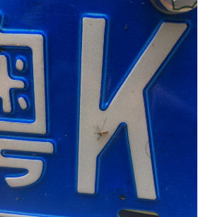 ����3.png