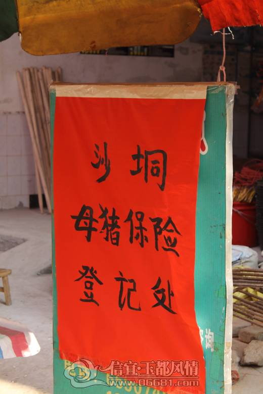 DPP_0152.JPG