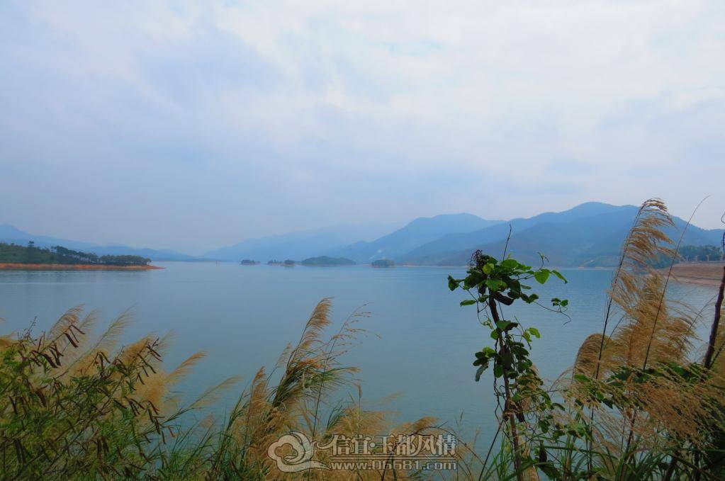 20130314105937210.jpg