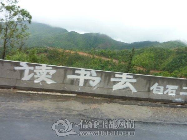 P1020432.jpg