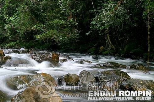 Endau-Rompin-Park.jpg