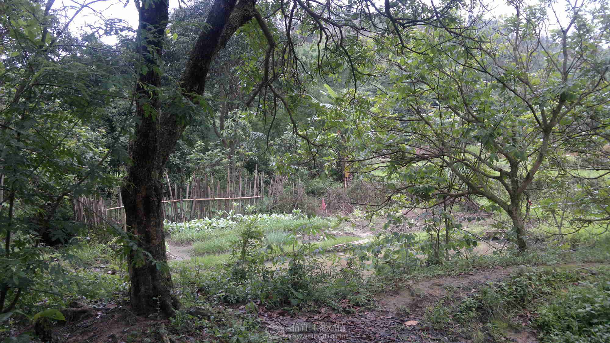 2013-04-26-296.jpg