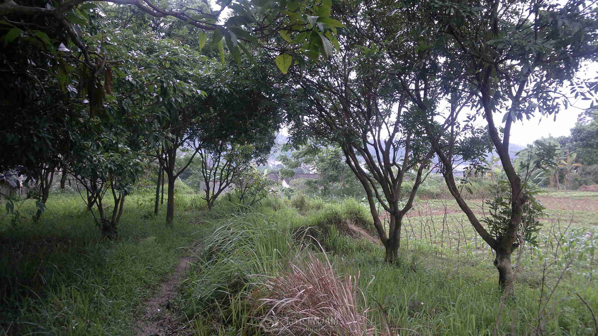 2013-04-26-310.jpg