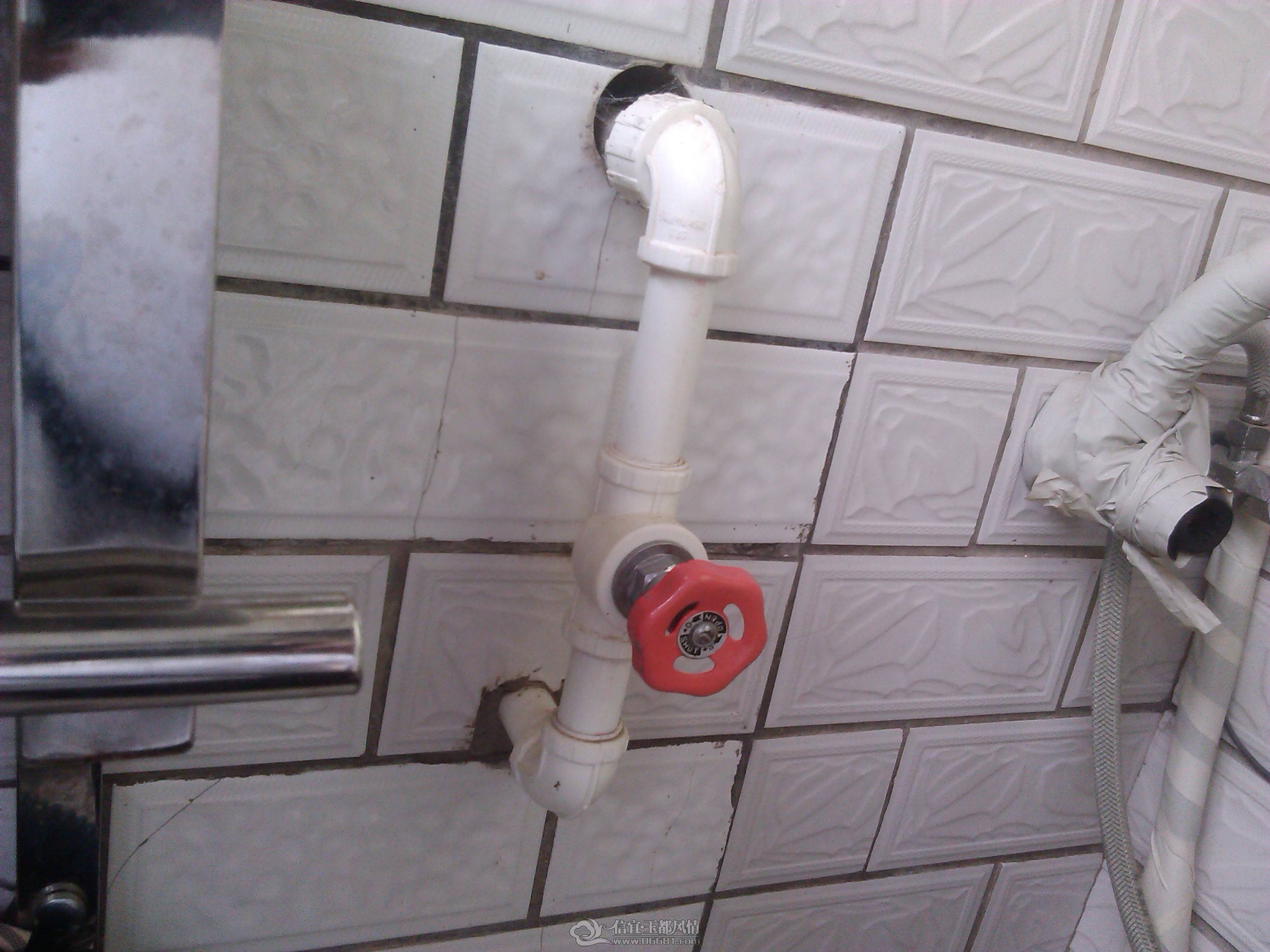 IMG_20130508_102130.jpg