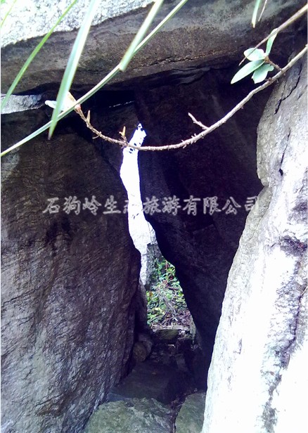 ʯ���롪���״�ʯ