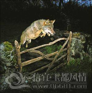 CEE01EB7B08CF6B5554593EFBC676B93[1].jpg