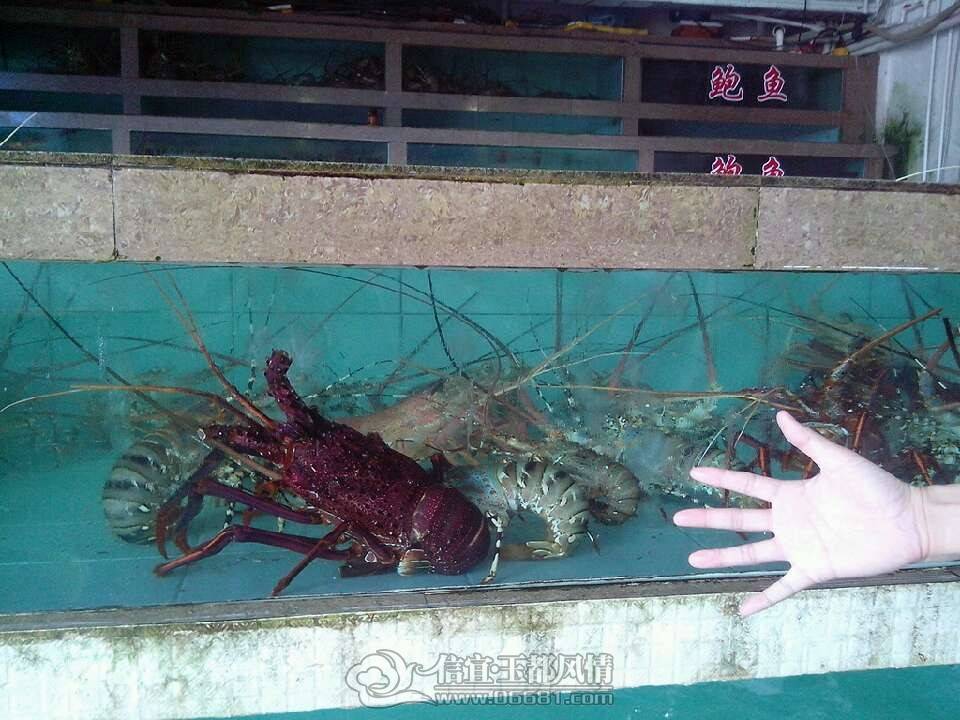 QQͼƬ20130529000950.jpg