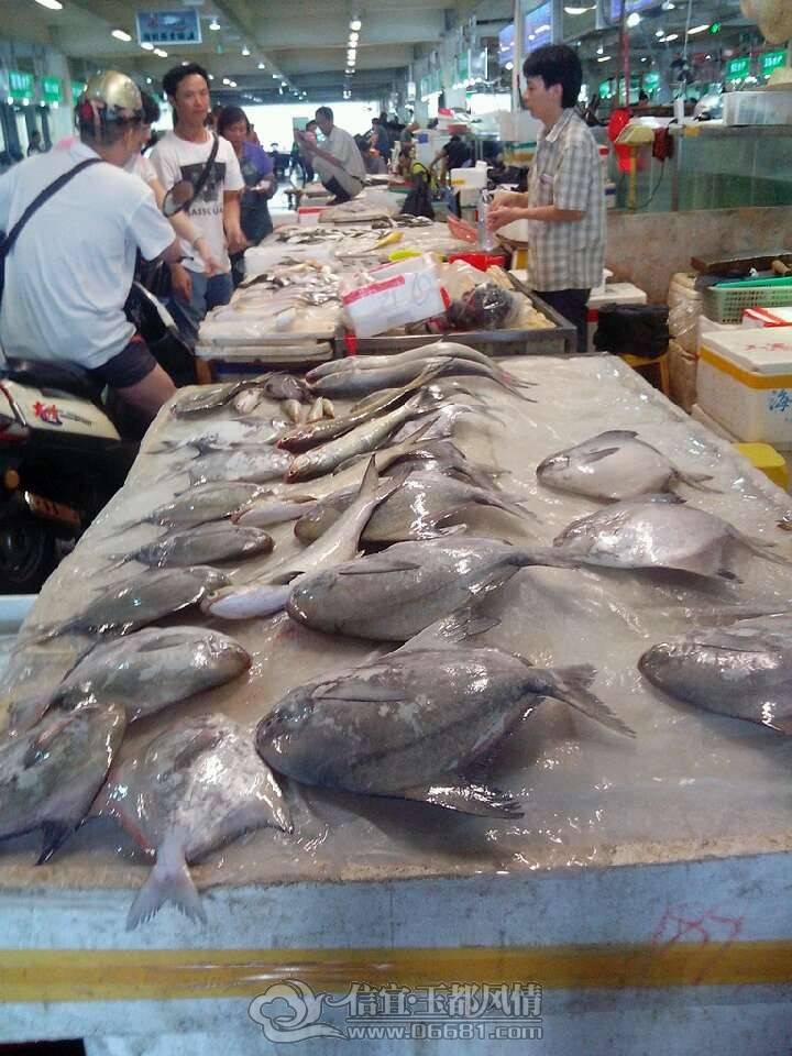 QQͼƬ20130529001016.jpg