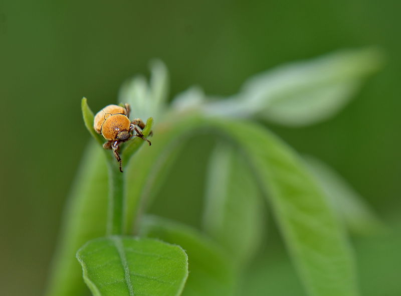 DSC_6305.jpg