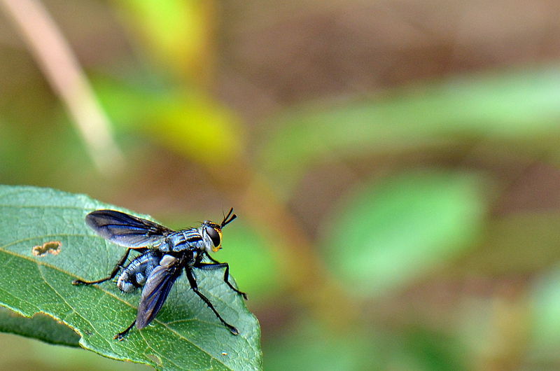 DSC_6322.jpg