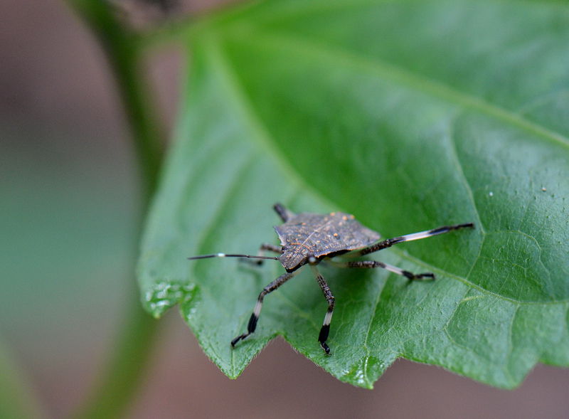 DSC_6373.jpg