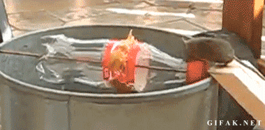 2000[1].gif