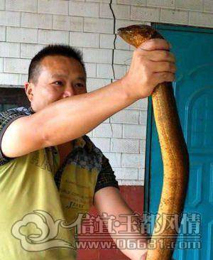 aa4136d17505492s_13fb7677bb4g86_blog.jpg