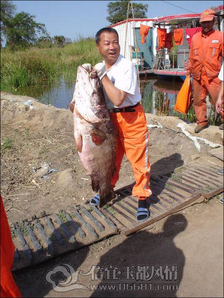 a_few_fishermens_biggest_catches_ever_640_03[1].jpg