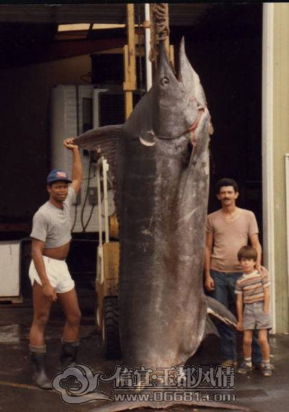 a_few_fishermens_biggest_catches_ever_640_04[1].jpg