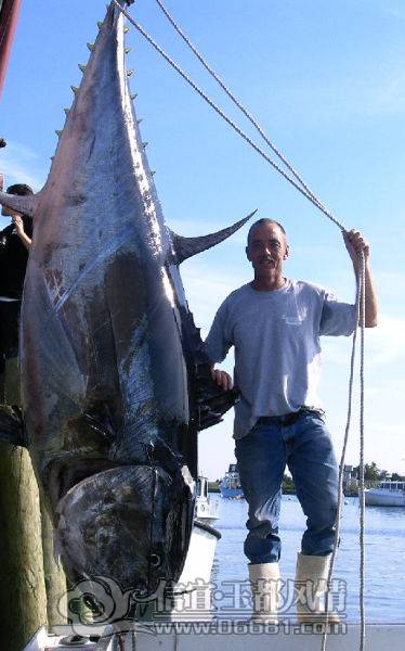 a_few_fishermens_biggest_catches_ever_640_23[1].jpg