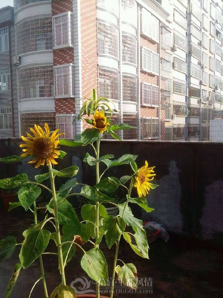 QQͼƬ20130606153344.jpg