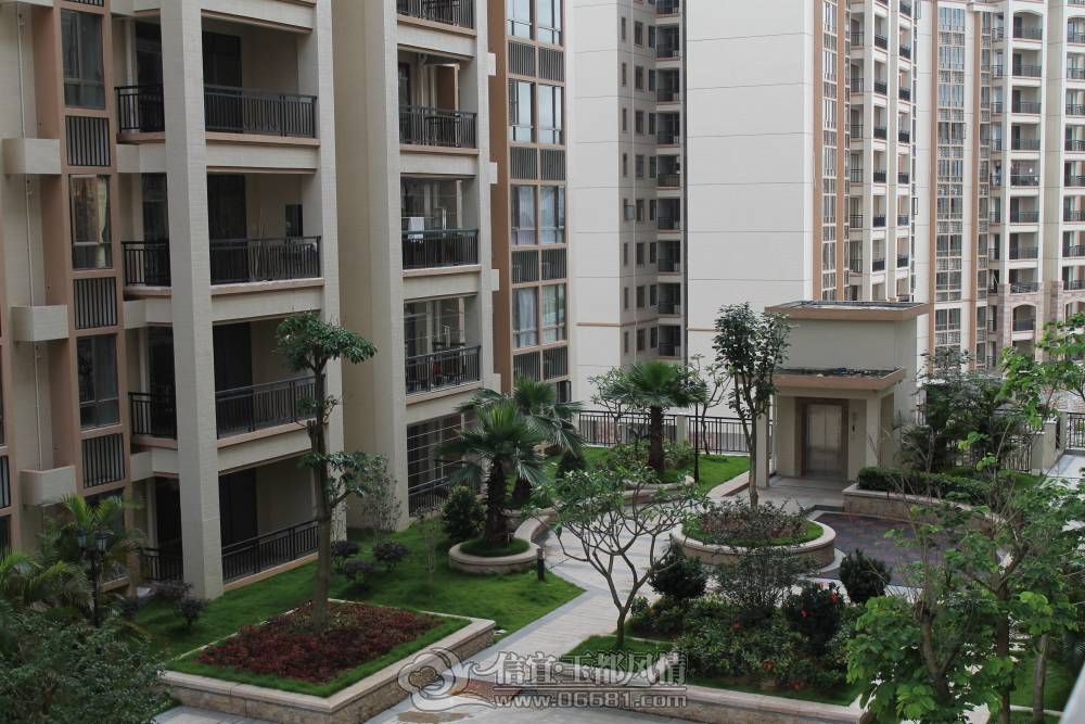 DPP_0012.JPG