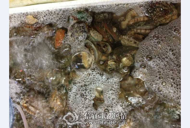 QQͼƬ20130629231250.jpg