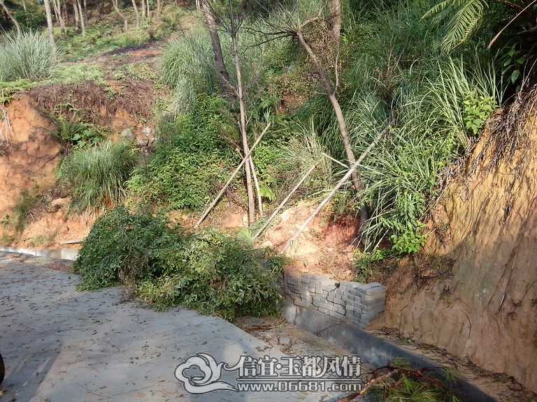 IMG_20130703_072332.jpg