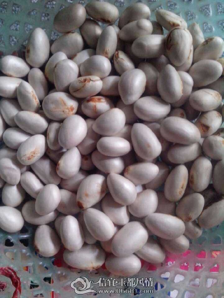 QQͼƬ20130709141658.jpg