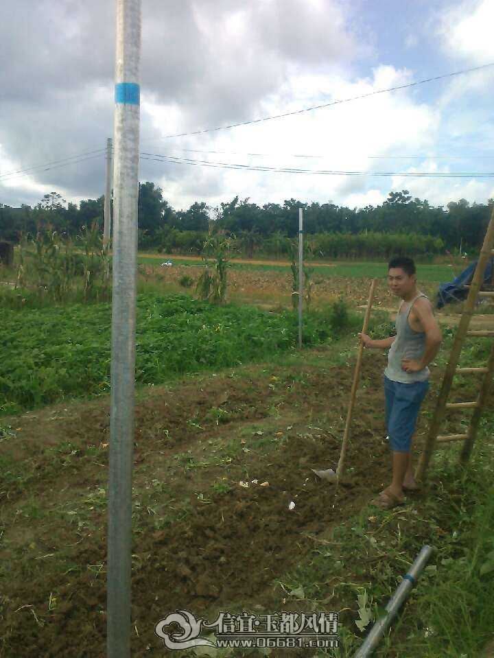 QQͼƬ20090524023621.jpg