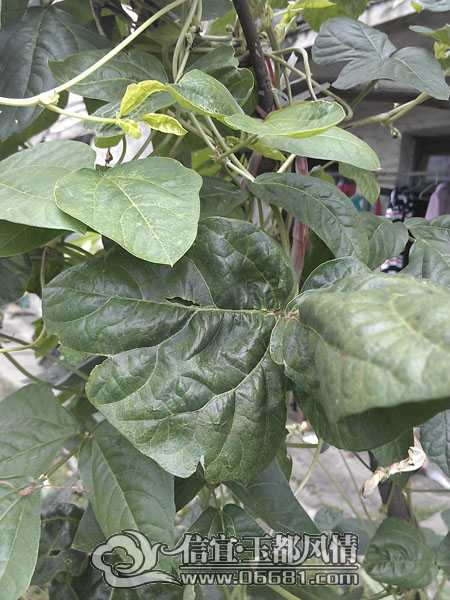IMAG5812.jpg