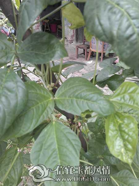 IMAG5813.jpg