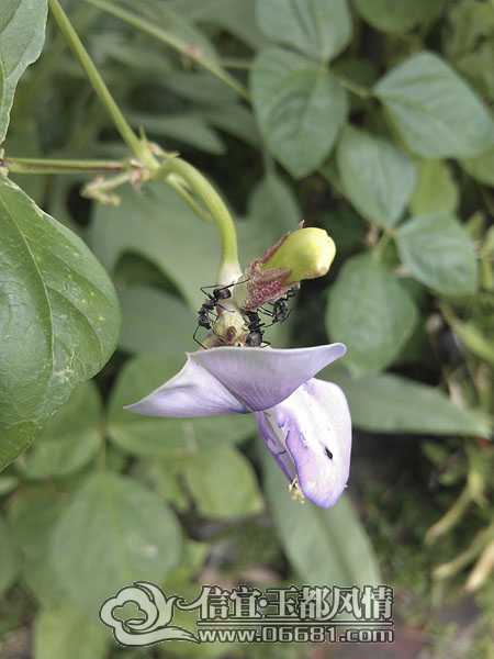 IMAG5815.jpg