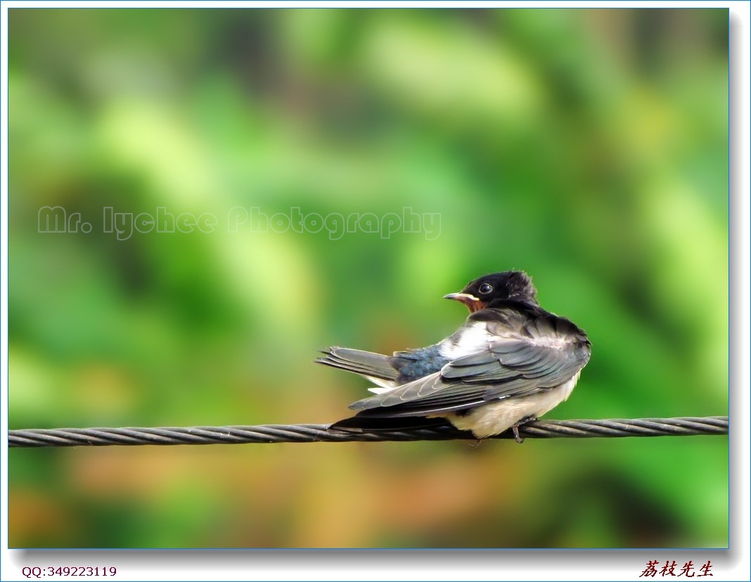 nEO_IMG_��Ƭ 023.jpg