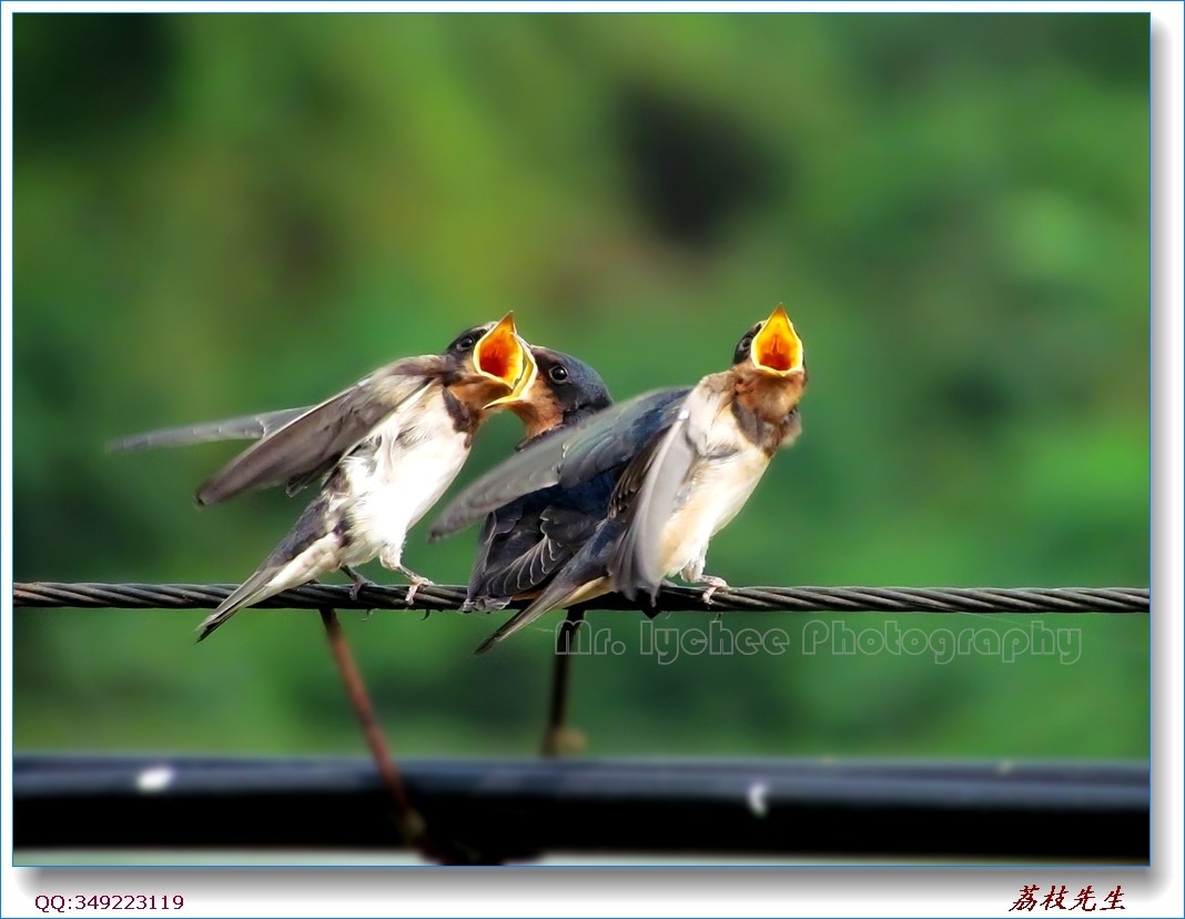 nEO_IMG_��Ƭ 028.jpg