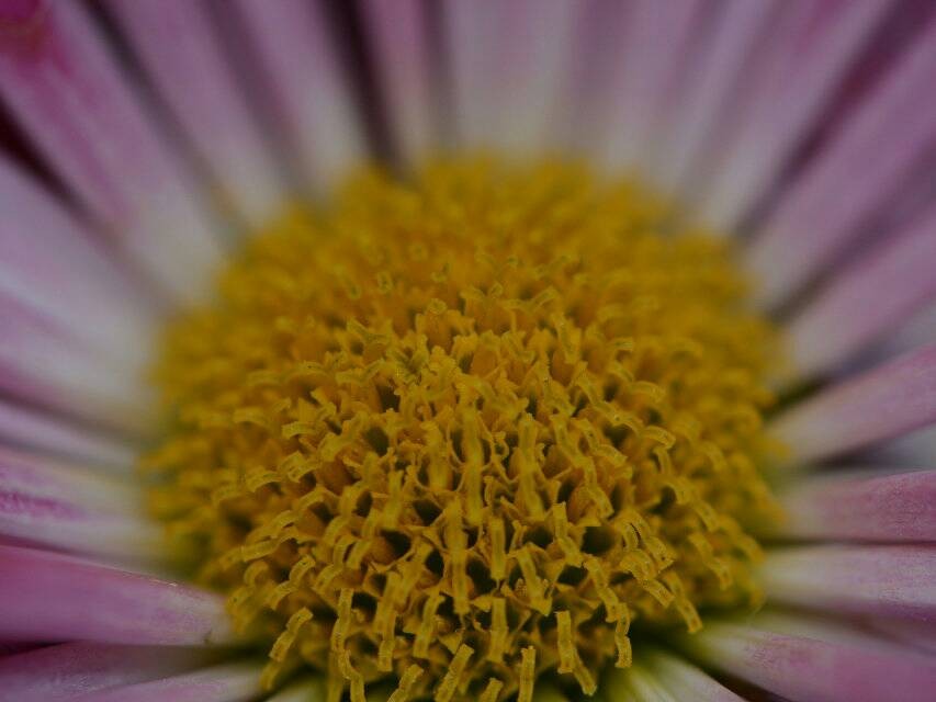 QQͼƬ20140512145815.jpg